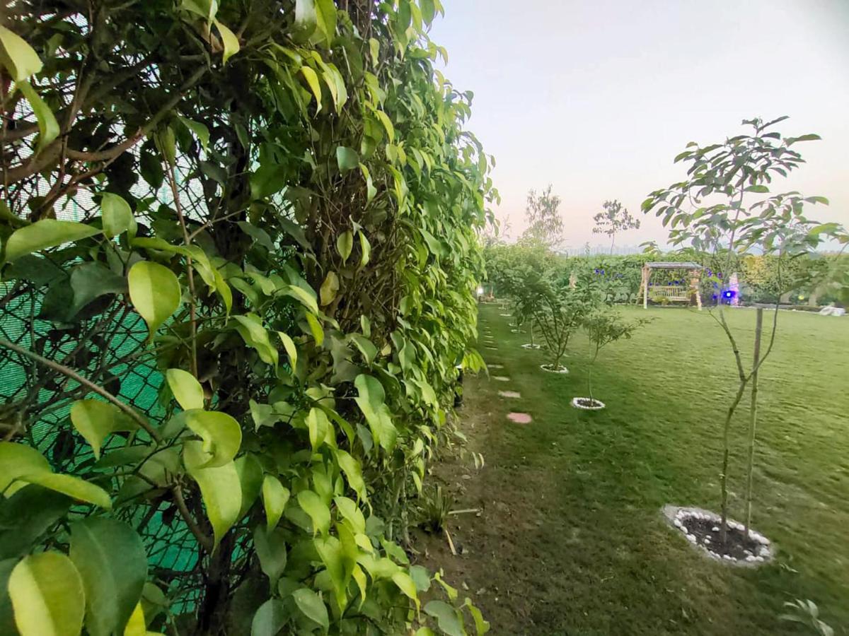 Shaw Estate-Farm House For A Small Parties-Jp Farm Greater Noida Buitenkant foto
